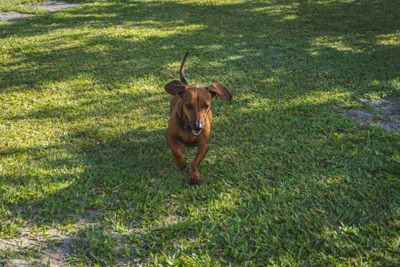 Casa Vista Para Montanha Pet Friendly Caraguatatuba Eksteriør billede